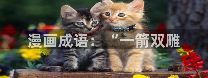 《受难曲》韩漫免费观看最新章节：漫画成语：“一箭双雕
