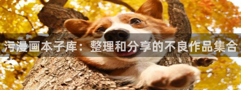 韩漫入口网页：污漫画本子库：整理和分享的不良作品集合