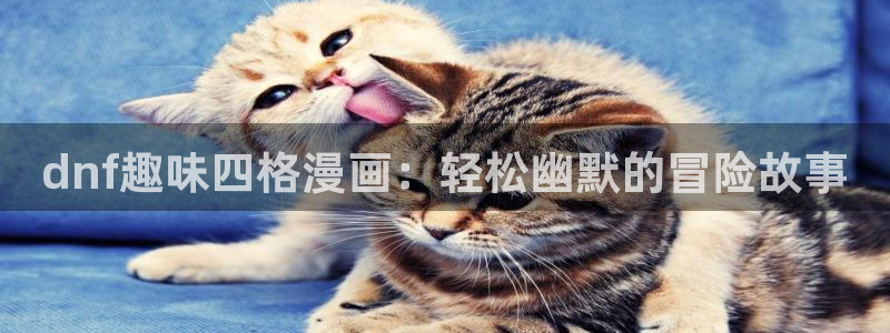 韩漫全集免费观看：dnf趣味四格漫画：轻松幽默的冒险故事