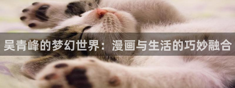 韩漫美丽新世界在线观看免费版：吴青峰的梦幻世界：漫画与生活的巧妙融合