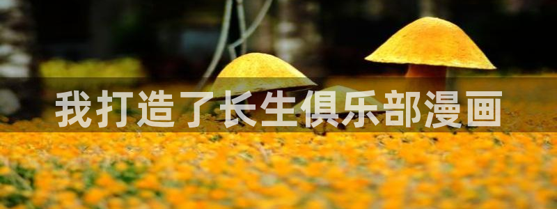 漫画韩漫推荐：我打造了长生俱乐部漫画