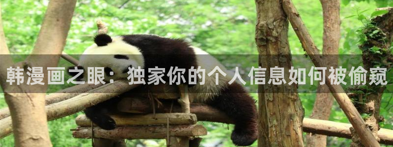 韩漫动漫大全：韩漫画之眼：独家你的个人信息如何被偷窥
