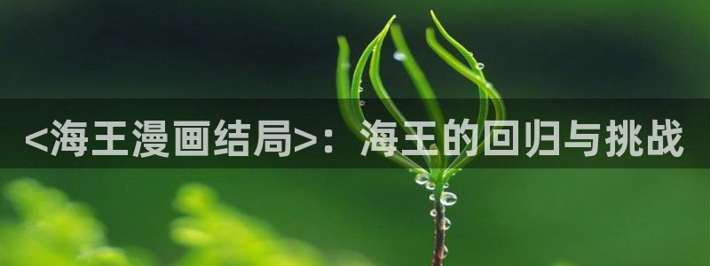 我的女主人韩漫漫画免费观看：<海王漫画结局>：海王的回归与挑战