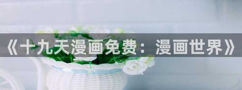 韩漫舞蹈系的日子漫画免费观看：《十九天漫画免费：漫画世界》