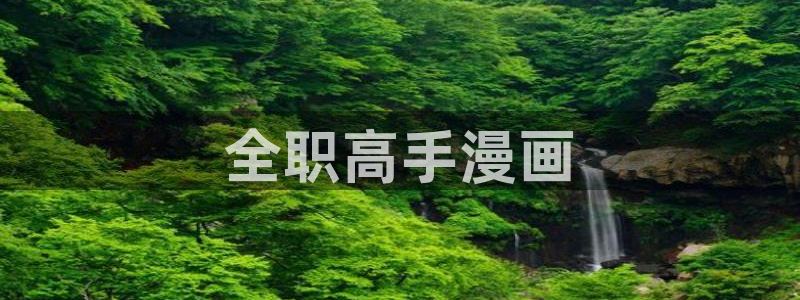 韩漫画免费阅读看漫画下拉式：全职高手漫画