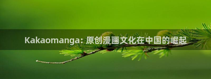 韩漫免费漫画视频：Kakaomanga: 原创漫画文化在中国的崛起